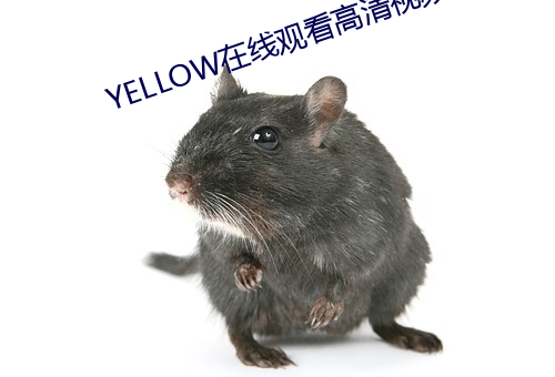 YELLOW在线观看高清视频