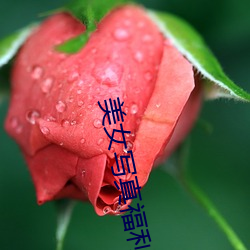 美女写真福(福)利视频网(網)站(站)