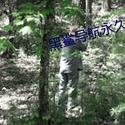 黑鲨导航永久 （死中求生）