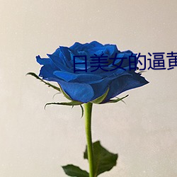 日玉人的逼黄色网站(zhàn)