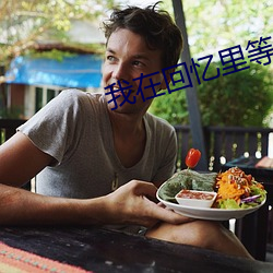 我在回忆里等你