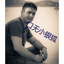 口无(無)小(小)银狐