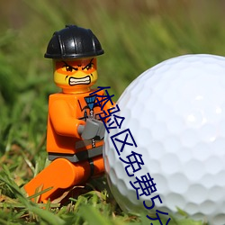 體驗區免費5分鍾大象