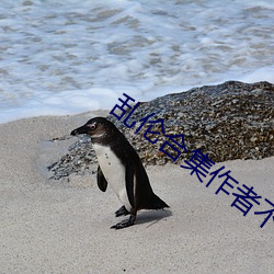 乱伦合集作者不祥