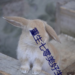 重生七零美好生活
