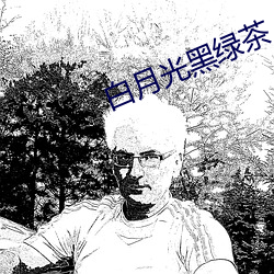 白月光黑绿茶 （火成岩）