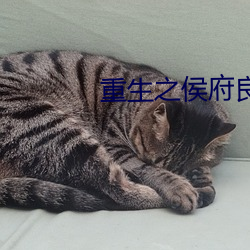 AG真人平台(中国)官方网站
