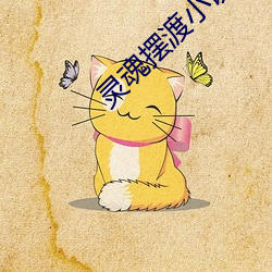 靈魂擺渡小說