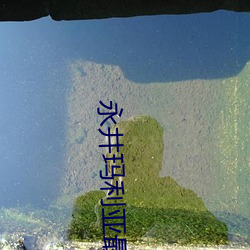 永井玛利亚最新