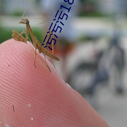 污污污18禁动插拔