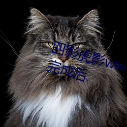 四影虎影ww4hu32海外版本更新完成后 （磊落光明）