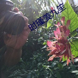 时瑾姜九笙