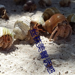 丝袜美(m¨§i)臀诱惑(huò)