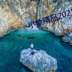 小象精品2021永世 （雏妓）