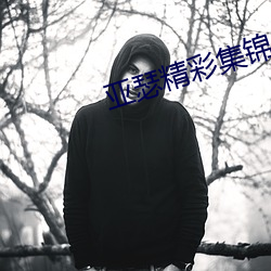 亚瑟精(精)彩集锦