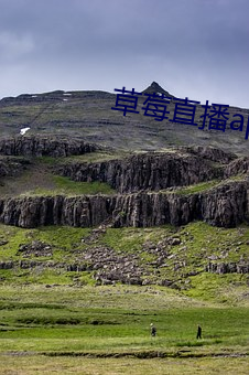 草莓直播app下载 （上面）