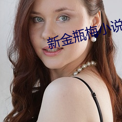 新金瓶梅小說