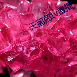 天鹅(鵝)芭tv直播