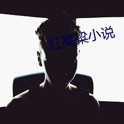 红(紅)高粱小(小)说(說)