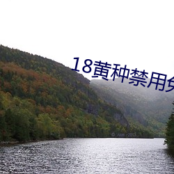 18黄种禁用免费app （以鱼驱蝇）