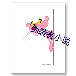 伪(wěi)装者小(xiǎo)说