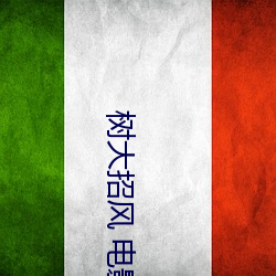 树大招风 电影