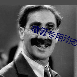 橹管专用动态美(měi)女图