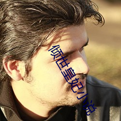 倾(傾)世皇(皇)妃(妃)小说