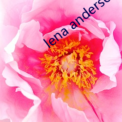 lena andersonھ