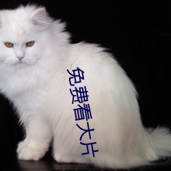 免费看(看)大片