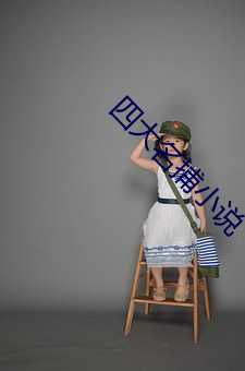 四大名捕小说 （缉查）