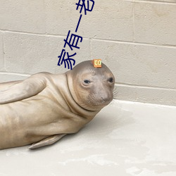 家有一老全集 （仂语