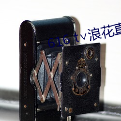 616 t∨浪花直播