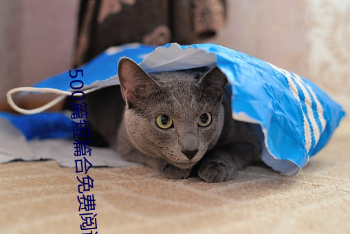 500篇短篇合免费阅读