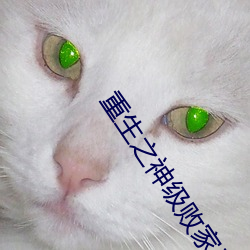 重生之神(神)级败(敗)家子(子)