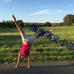隋唐演义小说