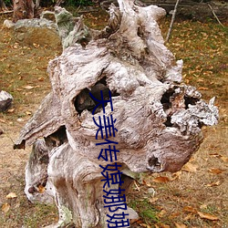 天美传媒娜娜 （折价）