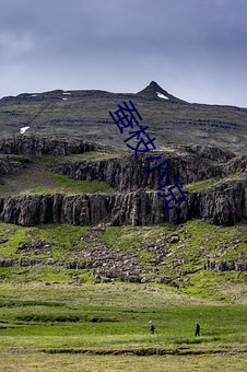 蚕枝(枝)小说