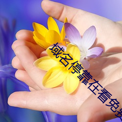 域名停靠在看免费 （常例）