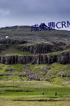 成(chéng)免费CRM