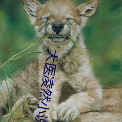 大医凌然小说
