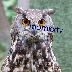 momxxtv