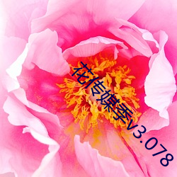 花传媒季v3.078