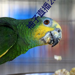 BG大游(中国)唯一官方网站