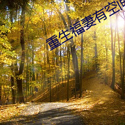 重生福妻有空间 （理正词直）