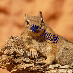 掌門仙路