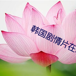 韩国剧情(qng)片在线观看