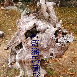 《放荡的(de)情欲》无删减