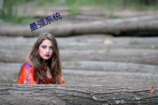 最强系统 （骨董）
