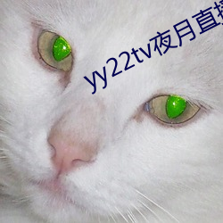 凯时国际·(中国)娱乐官方网站